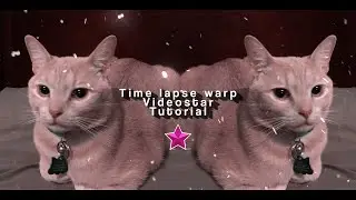 Time lapse warp- Videostar Tutorial