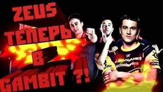 ZEUS ТЕПЕРЬ В GAMBIT ?!
