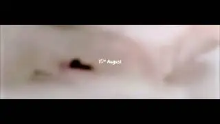 Surprise 🎶
