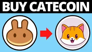How To Buy CateCoin On PancakeSwap & Trust Wallet
