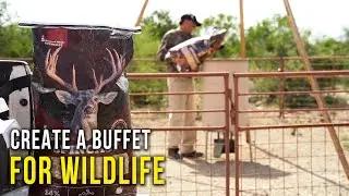 One Way of Building an Effective Deer Feeding Program for Low Fence Deer