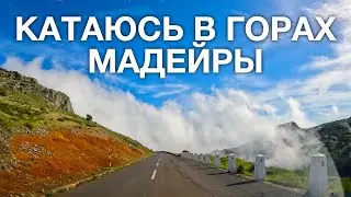 Поездка по горам Мадейры: вид от первого лица