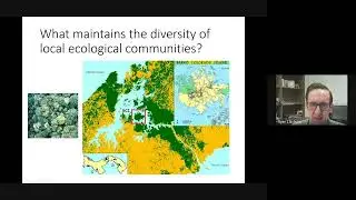 Mathematical and computational modelling of biodiversity