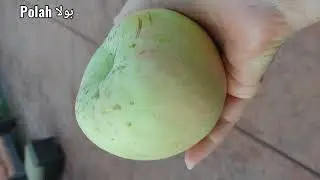 ما شاء الله .. السلة والسكين .. أحلى وأهضم elida