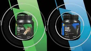 유한양행_Yuhan horsecare_일본홍보영상