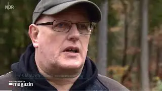 Wölfe in Dithmarschen | SH Magazin 14.11.2017