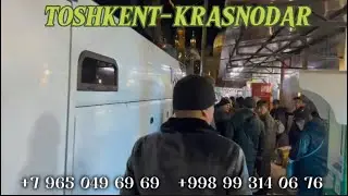 Ташкент Краснодар автобус, Краснодар Ташкент автобус,Toshkent Krasnodar avtobus