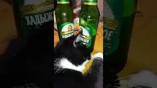 Мурзик.