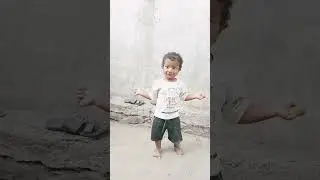 gulabi sadi dance
