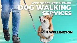 Dog Walking Services in Wellington CO | (970) 980-1325