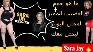 ما هي مواصفات ممثل البورنو ليمثل معك 