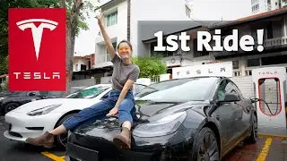 1st TESLA Experience! (Model 3 Performance Design, Acceleration, Supercharging)