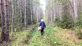 Клюква, трепещи! Команда старушек уже в пути