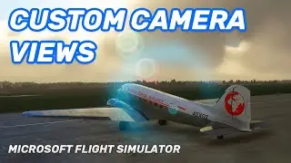 How to set custom camera views in MSFS (internal camera)