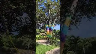 Paseando en Puerto Vallarta