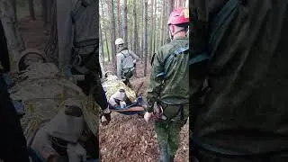 Школа безопасности