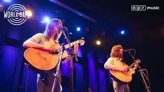 The Lemon Twigs - World Cafe Mini-Concert