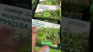Набор для выращивания микрозелени Fix price 