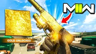 I UNLOCKED GOLD X13 AUTO but gold camo blinded me