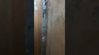Tahtakurusu Nasıl Anlaşılır