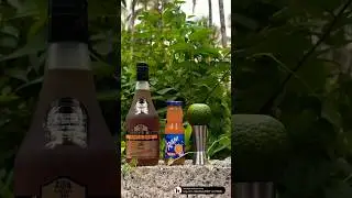 Brandy on Rani | Orange Brandy Mix | 