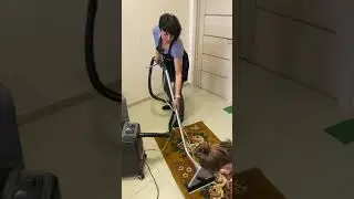 ЧИСТКА КОВРА