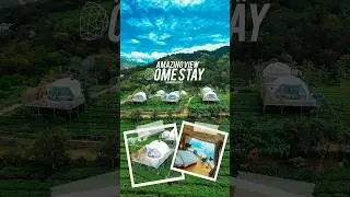 Nature Bubble Glamping Stay | Monticle Glamps | Vagamon -Kerala ⛰️