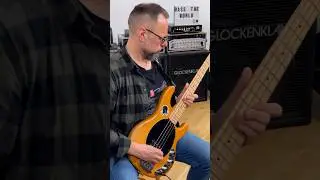 Sansamp in super cheap? Yes, please!!