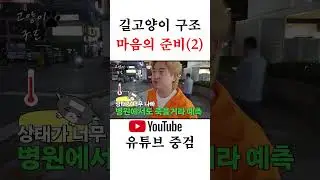 죽어가는 고양이를 구조(2편)#간택 #구조냥 #중검