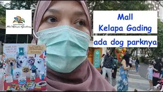 Mall Kelapa Gading Punya Dog Park?? | Miss Bella Hasky