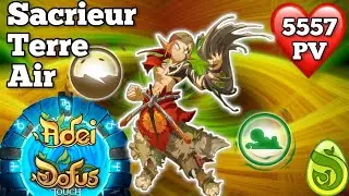 SACRIEUR TERRE AIR 200 Stuff Opti + Kolizeum (DOFUS Touch)