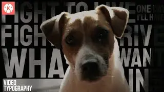 tutorial on how to make kinetic typography videos using the kinemaster application