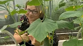 #влог