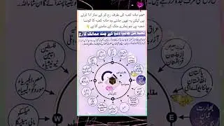 khana kaaba direction from all countries of the world #youtubeshorts #short