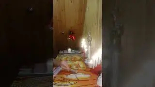 КОГДА ЖЕ ОН 👦 ПРОЯВИТСЯ??!!! НЕТ 🚫 СЛОВ!!! ОДНИ ЭМОЦИИ!!! (PROTARO 1233)