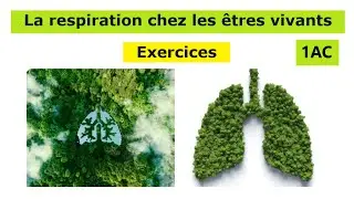 Exercices la respiration dans différents milieux 1ac