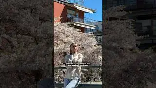 Пишите кто уже сфоткался среди сакуры?
