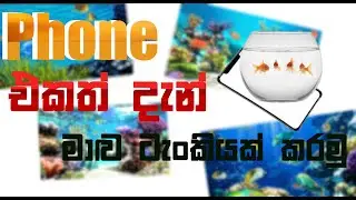 How to set fish tank live wallpaper in phone in sinhala | SL Avamer