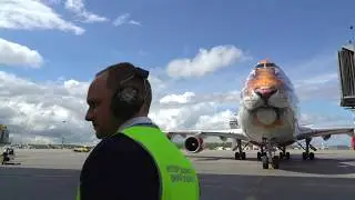 Boeing 747-400 with Amur Tiger livery at Pulkovo airport