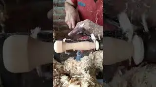 Fast worker how to make didlo?