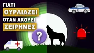 Γιατί Ουρλιάζει όταν Ακούει Σειρήνες?