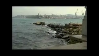 Год ученый