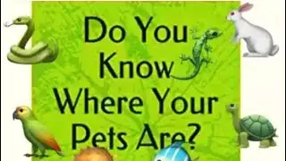 Tips On Reunite Family With Pets Found. Part 3
