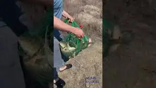Arnasoy Baliq Ovi 2023 Zafar akadan