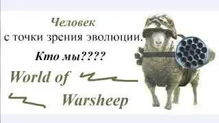 Кто такой человек с точки зрения эволюции? Мир боевых овец:-).