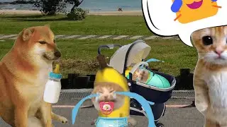 BANANA CAT 🍌🐱 BROS CRY STORYS 😿 2