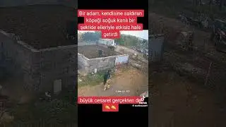Köpek adama saldırıyor adam yakalıyor ellerinde bir de kaçırma #komikvideolar