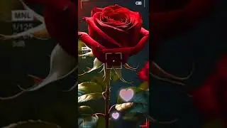 кутманду кечинер менен!