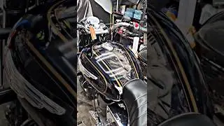 Bullet Eagle 🦅 Smoke Lamination ✅👍 #bullet #lamination #modified #ytshort #shorts #trend #trending
