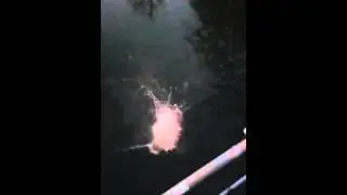 Fun Little Flip From a Phoenixville Bridge in Undies